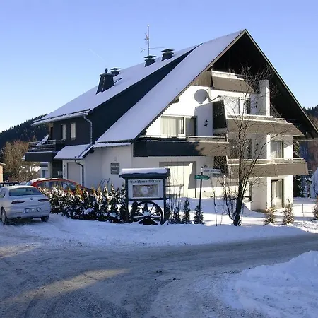 Appartement Meran.2 Willingen (Upland)